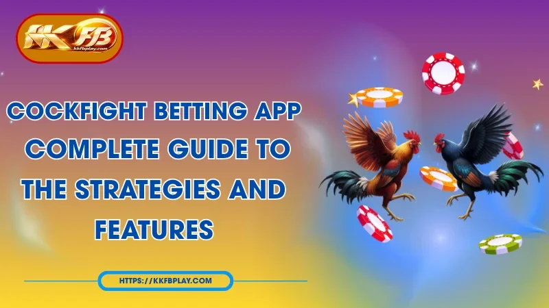 Cockfight Betting App: Top Live Stream & Wagering Guide