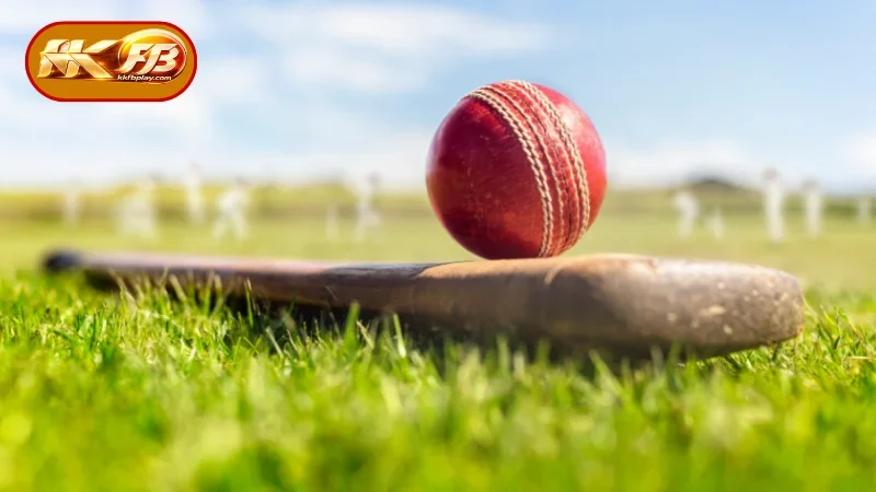 Overview of KKFB Cricket 