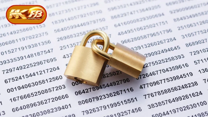 User Information Collected by the KKFB Platform